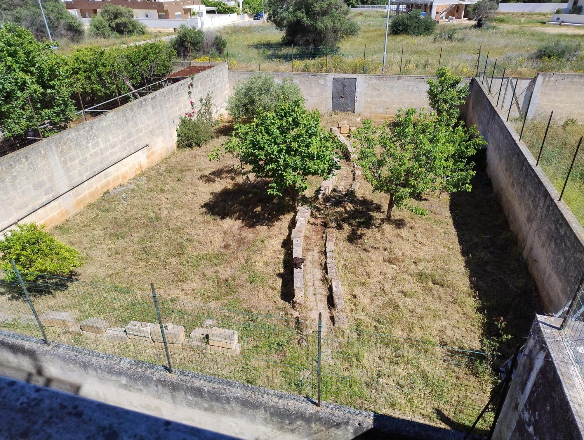 Favolosa Casa Con Terrazza, Idromassaggio, Cortile E Garage Auto Carovigno Eksteriør bilde