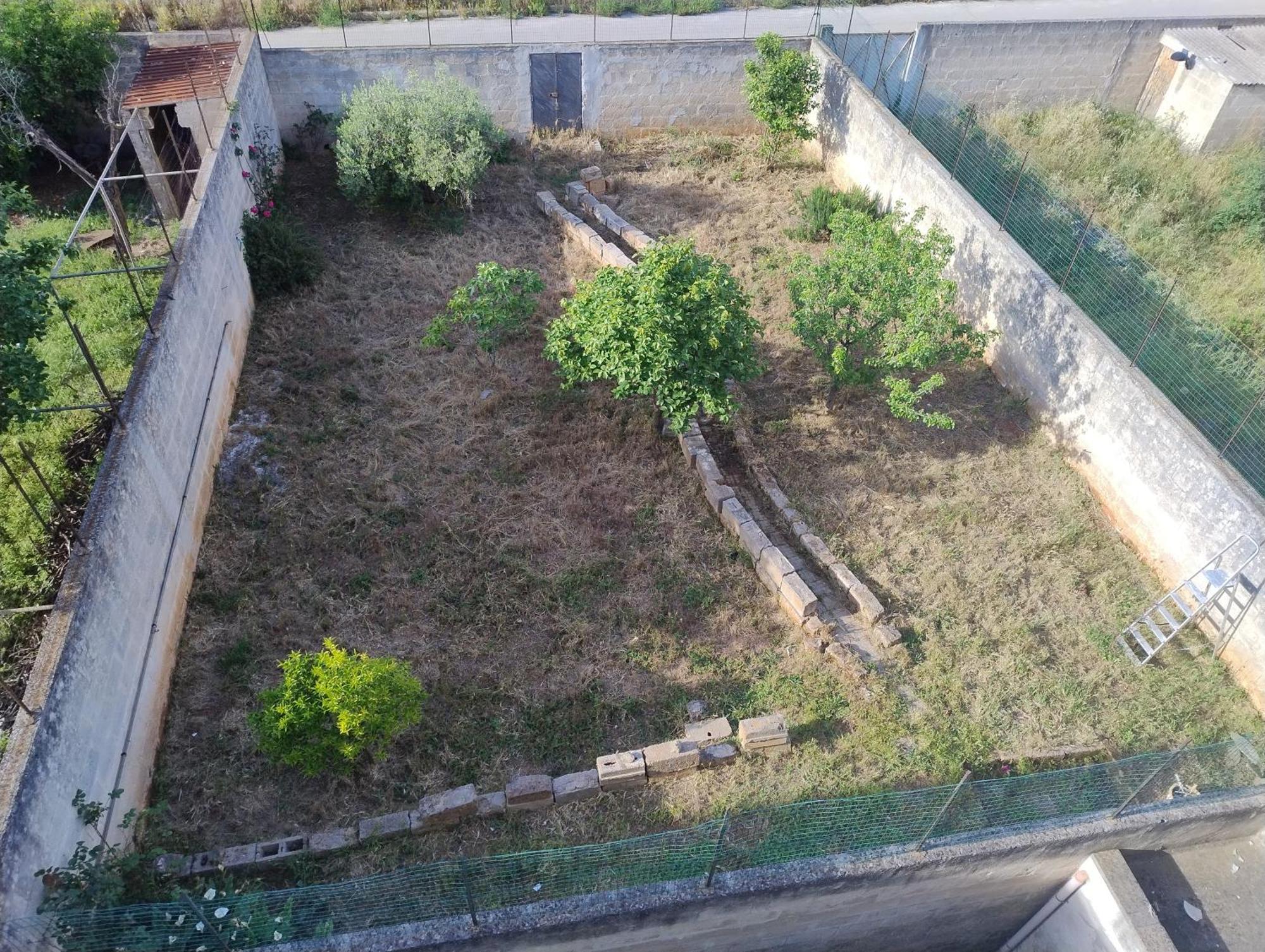 Favolosa Casa Con Terrazza, Idromassaggio, Cortile E Garage Auto Carovigno Eksteriør bilde